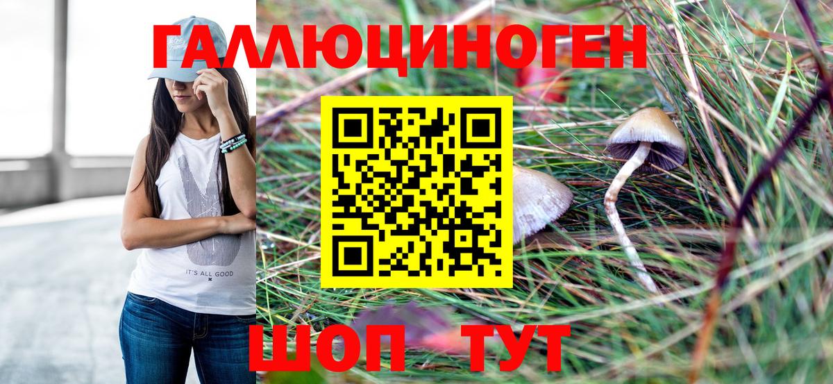 Галлюциногенные грибы мицелий Выборг