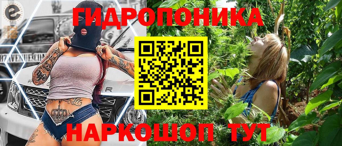 Конопля Amnesia  Канабис план  Выборг  МАРИХУАНА индика  Марихуана Amnesia  Вход с VPN 